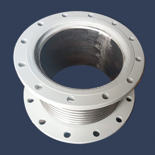 Expansion joint with fixed flanges