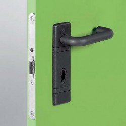 Handle detail on the standard multipurpose door